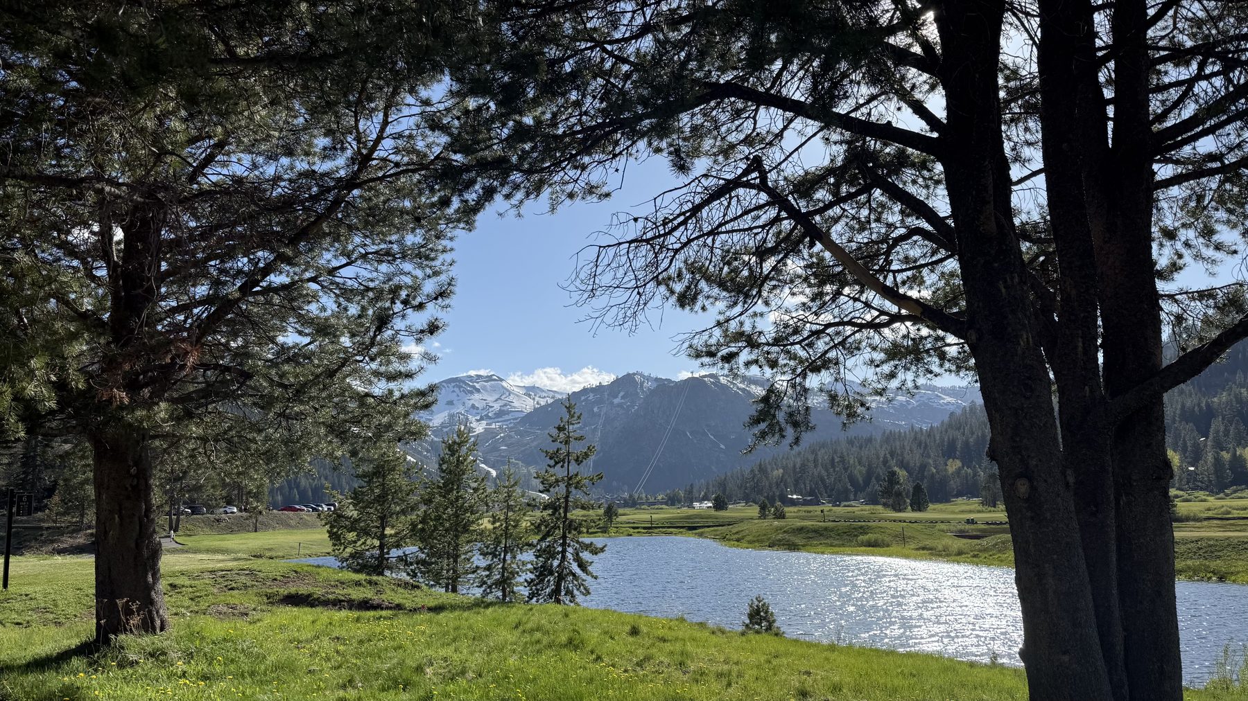 Lake and mountain view through the pines