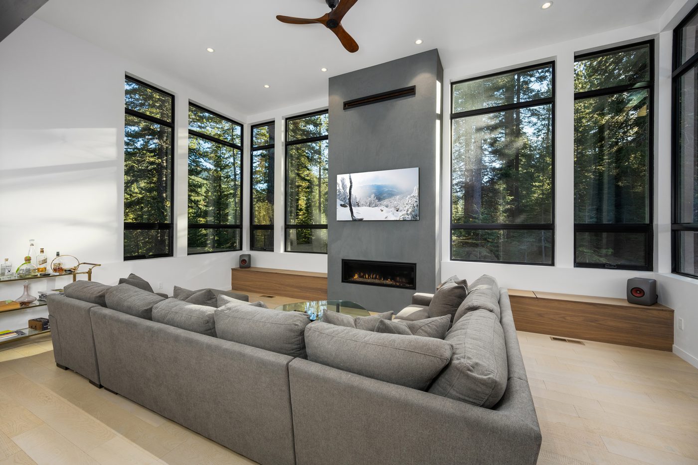 Living room with fireplace and forest views