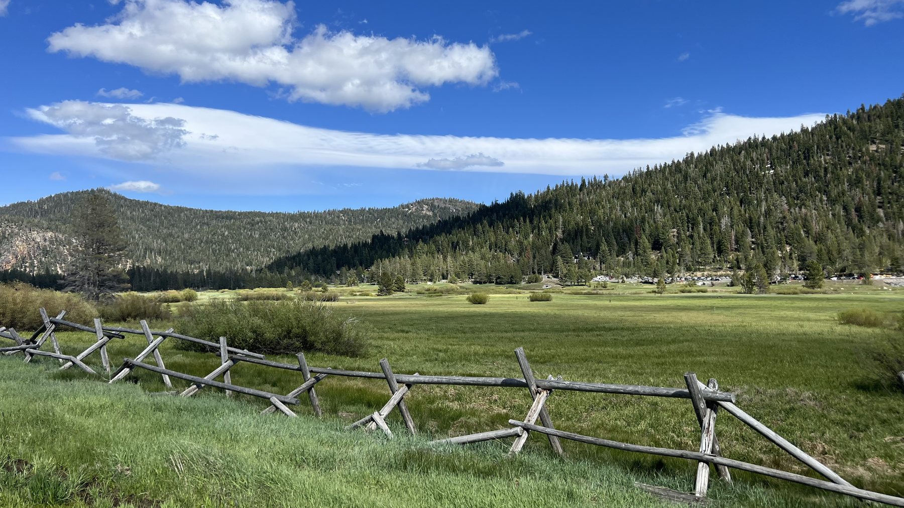 Olympic Valley meadow in summer