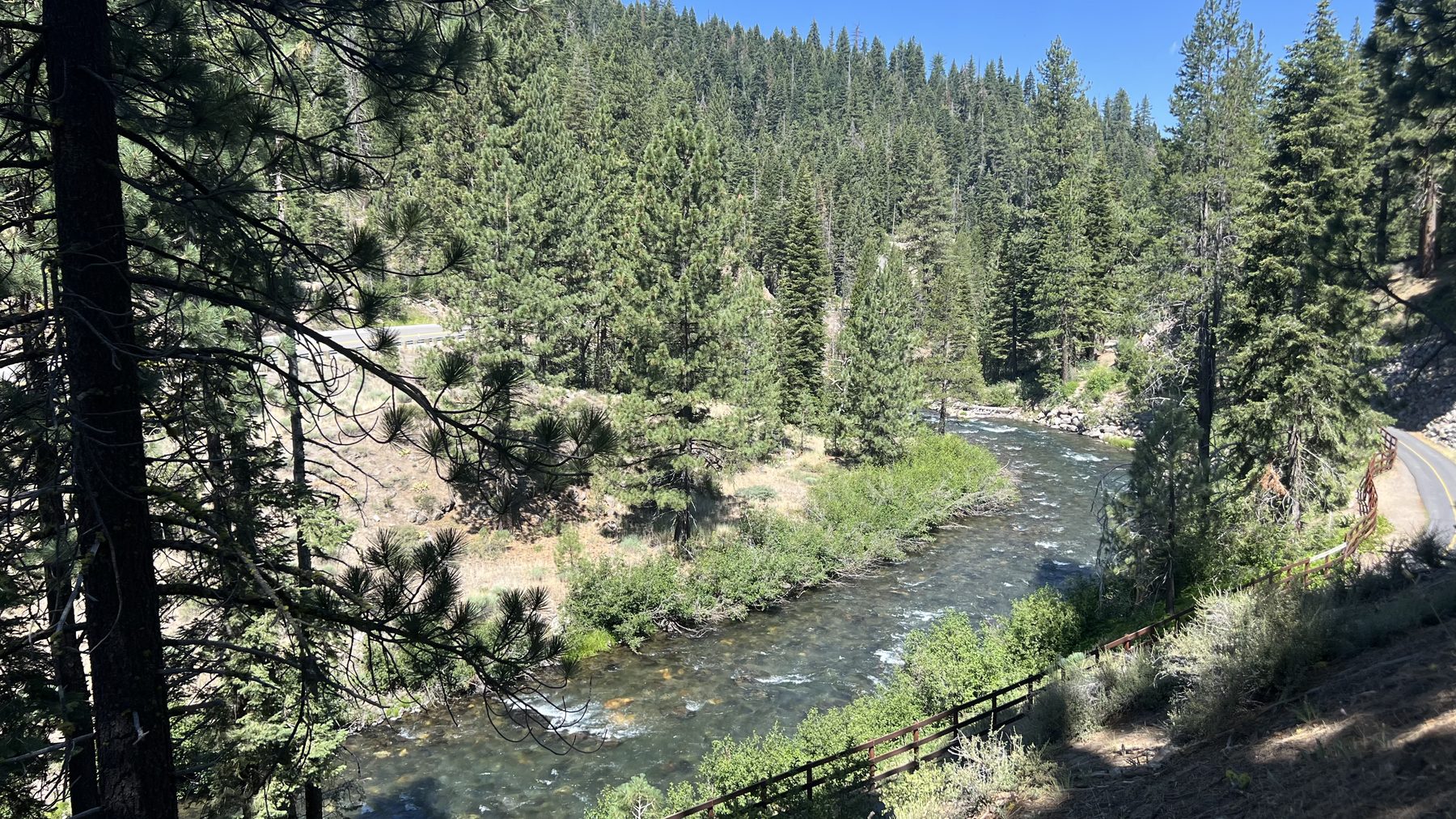 Truckee River through the Sierra Nevada forest