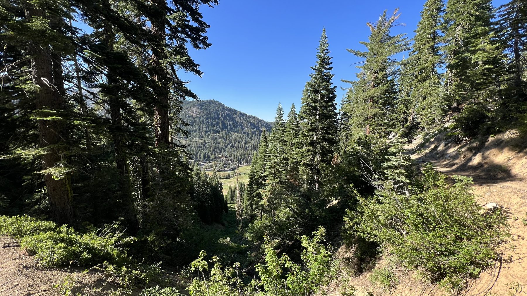 Looking down into Olympic Valley from the trail