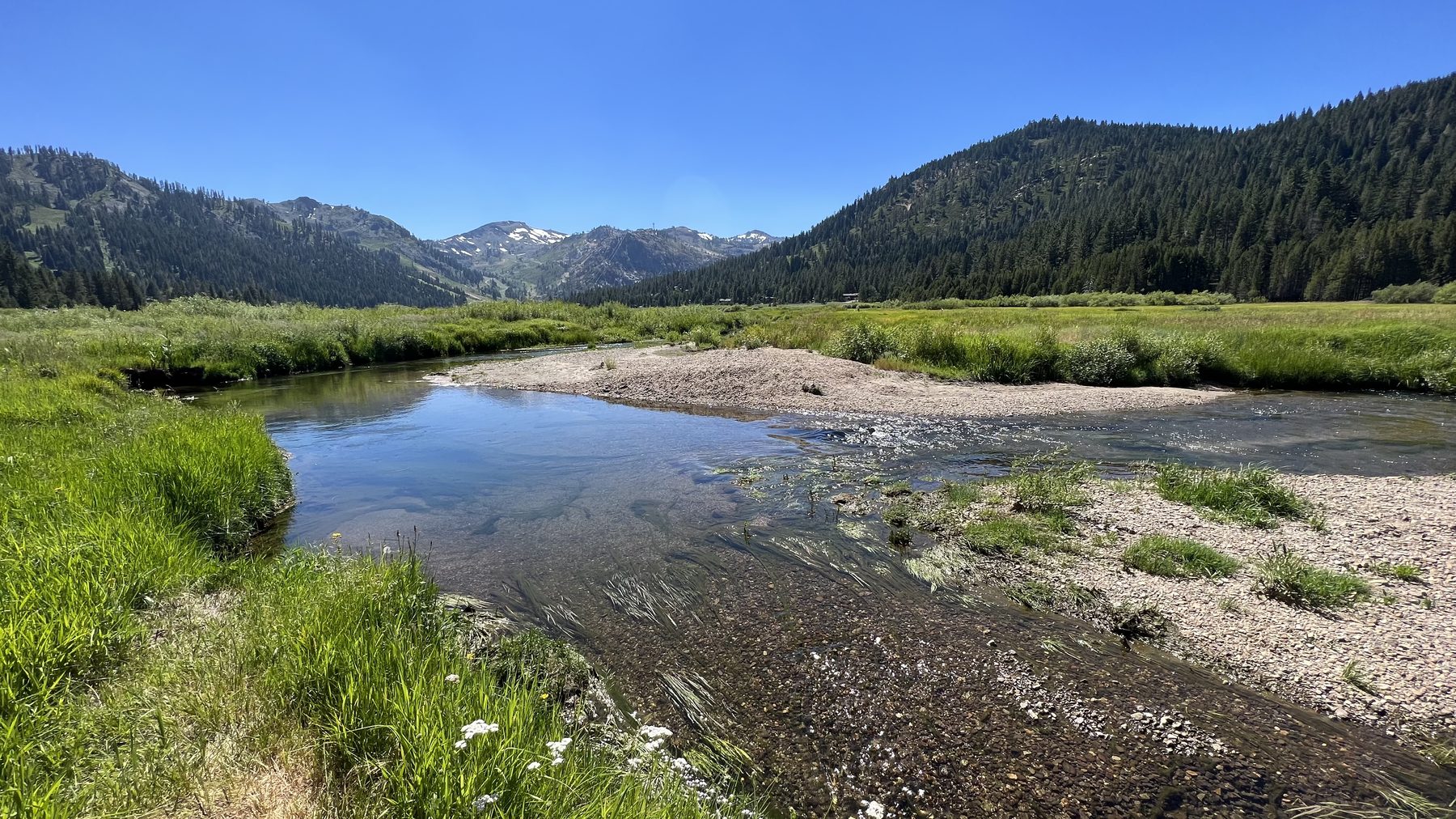 Olympic Valley meadow with Palisades Tahoe peaks